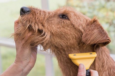 Diseño sin título (16)