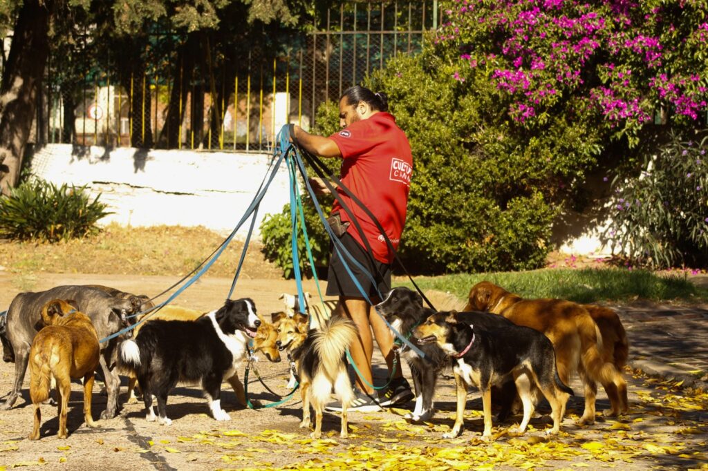 WhatsApp Image 2023-04-28 at 17.36.30