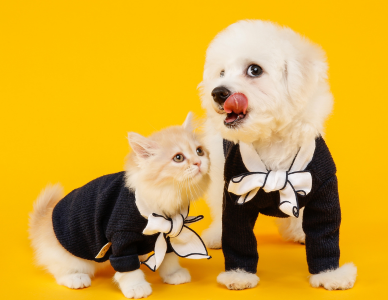 Diseno-sin-titulo-30