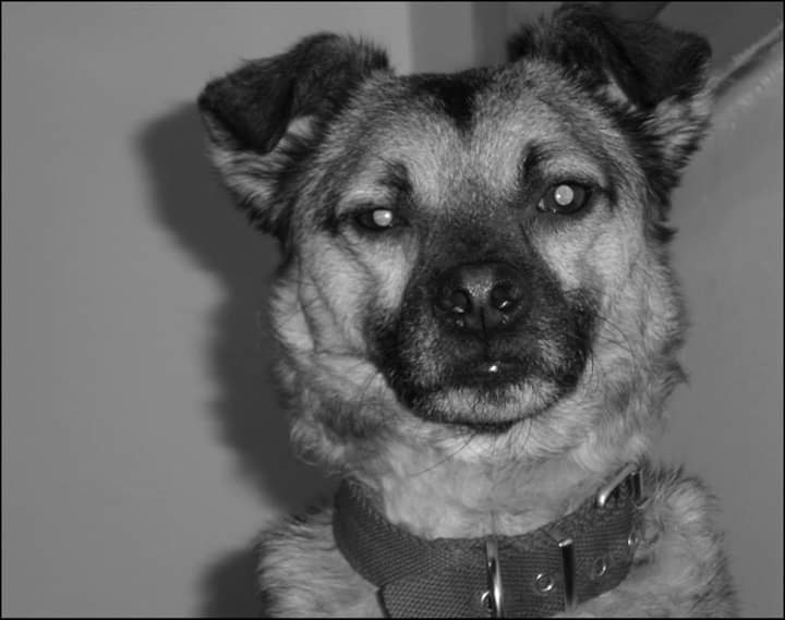 WhatsApp Image 2020-02-21 at 3.58.35 PM (1)