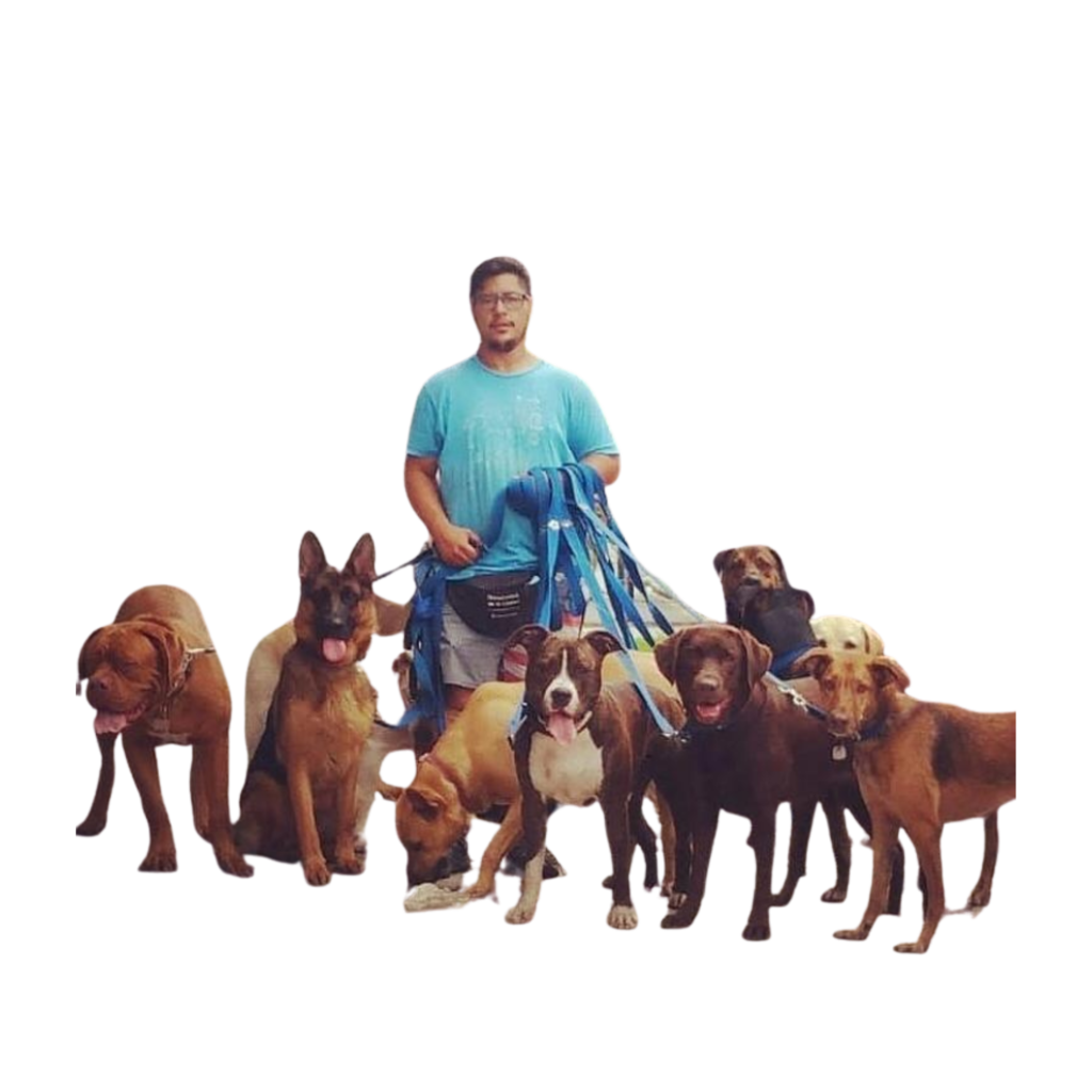 Diseño sin título (19)